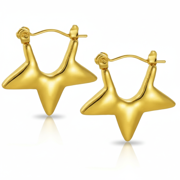 Star Shape Hoop Earrings | 14k Gold Plated Trendy Daily Wear Jewelry