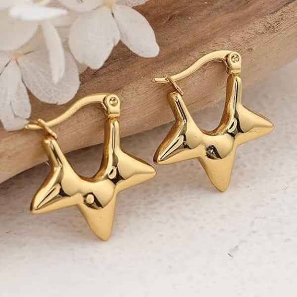 Star Shape Hoop Earrings | 14k Gold Plated Trendy Daily Wear Jewelry
